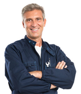 roetfilter-verwijderen-specialist monteur roetfilterverwijderen borne